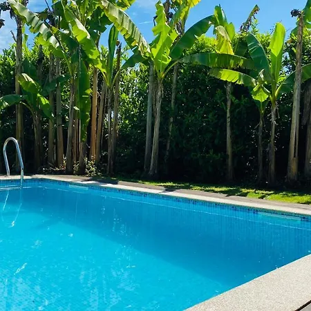 Quinta Sarmento - Private Pool - Family & Nature