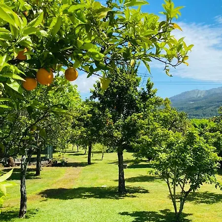 Quinta Sarmento - Private Pool - Family & Nature براغا