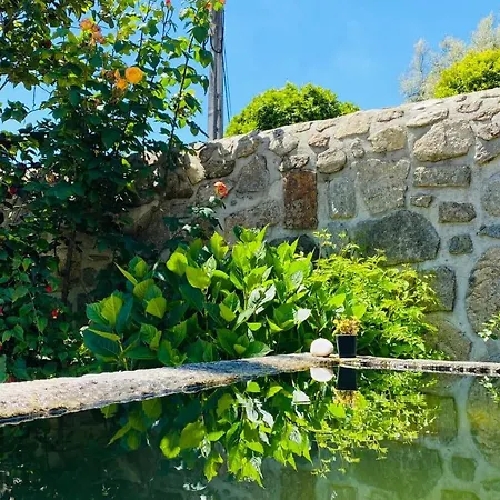 شقة Quinta Sarmento - Private Pool - Family & Nature *