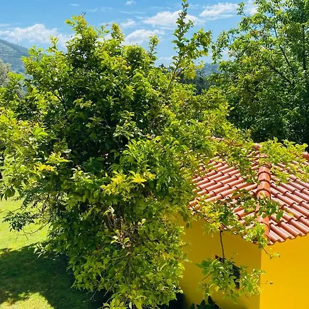 Quinta Sarmento - Private Pool - Family & Nature شقة براغا