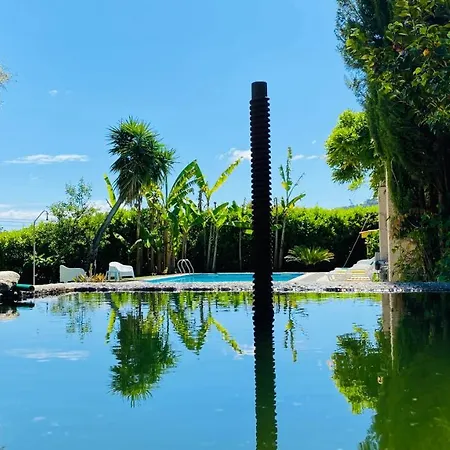 Quinta Sarmento - Private Pool - Family & Nature براغا