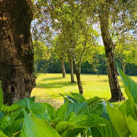 Quinta Sarmento - Private Pool - Family & Nature شقة *