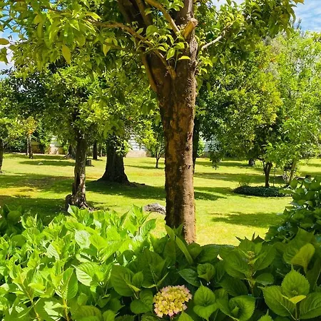 Quinta Sarmento - Private Pool - Family & Nature براغا